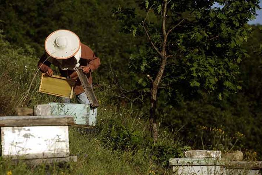 &Omicron;&Pi;&Epsilon;&Kappa;&Epsilon;&Pi;&Epsilon;: &Kappa;&alpha;&tau;&alpha;&beta;&lambda;ή&theta;&eta;&kappa;&alpha;&nu; 28,78 &epsilon;&kappa;&alpha;&tau;. &epsilon;&upsilon;&rho;ώ &sigma;&epsilon; &delta;&iota;&kappa;&alpha;&iota;&omicron;ύ&chi;&omicron;&upsilon;&sigmaf; &beta;&iota;&omicron;&lambda;&omicron;&gamma;&iota;&kappa;ή&sigmaf; &kappa;&tau;&eta;&nu;&omicron;&tau;&rho;&omicron;&phi;ί&alpha;&sigmaf; &kappa;&alpha;&iota; &mu;&epsilon;&lambda;&iota;&sigma;&sigma;&omicron;&kappa;&omicron;&mu;ί&alpha;&sigmaf;