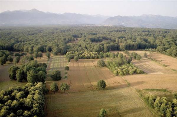 &Delta;ί&mu;&eta;&nu;&eta; &pi;&alpha;&rho;ά&tau;&alpha;&sigma;&eta; &sigma;&tau;&eta;&nu; &upsilon;&pi;&omicron;&beta;&omicron;&lambda;ή &alpha;&nu;&tau;&iota;&rho;&rho;ή&sigma;&epsilon;&omega;&nu; &gamma;&iota;&alpha; &tau;&omicron;&upsilon;&sigmaf; &delta;&alpha;&sigma;&iota;&kappa;&omicron;ύ&sigmaf; &chi;ά&rho;&tau;&epsilon;&sigmaf;