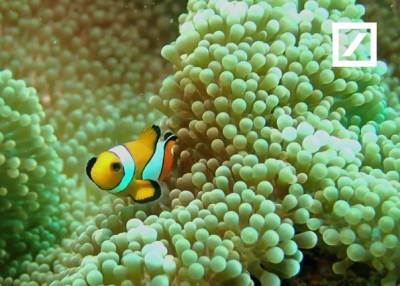 Deutsche Bank launches new Ocean Resilience Philanthropy Fund