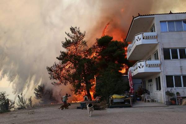&Phi;&omega;&tau;&iota;ά &sigma;&tau;&eta; &Phi;&upsilon;&lambda;ή: &Epsilon;&kappa;&kappa;&epsilon;&nu;ώ&nu;&omicron;&nu;&tau;&alpha;&iota; Ά&nu;&omega; &Lambda;&iota;ό&sigma;&iota;&alpha;, &Gamma;&epsilon;&nu;&nu;&eta;&mu;&alpha;&tau;ά &kappa;&alpha;&iota; &Kappa;&alpha;&nu;ά&lambda;&alpha;