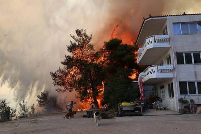 &Phi;&omega;&tau;&iota;ά &sigma;&tau;&eta; &Phi;&upsilon;&lambda;ή: &Epsilon;&kappa;&kappa;&epsilon;&nu;ώ&nu;&omicron;&nu;&tau;&alpha;&iota; Ά&nu;&omega; &Lambda;&iota;ό&sigma;&iota;&alpha;, &Gamma;&epsilon;&nu;&nu;&eta;&mu;&alpha;&tau;ά &kappa;&alpha;&iota; &Kappa;&alpha;&nu;ά&lambda;&alpha;