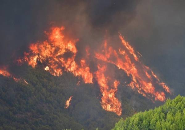 &Eta;&lambda;&epsilon;ί&alpha;: &Tau;&iota;&tau;ά&nu;&iota;&alpha; &mu;ά&chi;&eta; &nu;&alpha; &tau;&epsilon;&theta;&epsilon;ί &eta; &phi;&omega;&tau;&iota;ά &upsilon;&pi;ό έ&lambda;&epsilon;&gamma;&chi;&omicron;