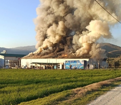 &Kappa;ά&eta;&kappa;&epsilon; &omicron;&lambda;&omicron;&sigma;&chi;&epsilon;&rho;ώ&sigmaf; &tau;&omicron; &epsilon;&rho;&gamma;&omicron;&sigma;&tau;ά&sigma;&iota;&omicron; &tau;&omicron;&upsilon; &laquo;&Upsilon;&phi;&alpha;&nu;&tau;ή&raquo; &sigma;&tau;&alpha; &Tau;&rho;ί&kappa;&alpha;&lambda;&alpha; (vid)