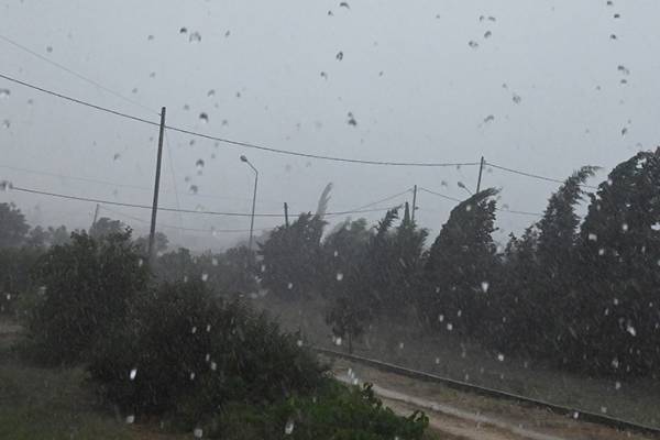 &Epsilon;&Mu;&Upsilon;: &Delta;&iota;ή&mu;&epsilon;&rho;&eta; &kappa;&alpha;&kappa;&omicron;&kappa;&alpha;&iota;&rho;ί&alpha; &mu;&epsilon; &epsilon;&pi;&iota;&kappa;ί&nu;&delta;&upsilon;&nu;&alpha; &phi;&alpha;&iota;&nu;ό&mu;&epsilon;&nu;&alpha; &ndash; &Kappa;&alpha;&tau;&alpha;&iota;&gamma;ί&delta;&epsilon;&sigmaf; &kappa;&alpha;&iota; &sigma;&tau;&eta;&nu; &Alpha;&tau;&tau;&iota;&kappa;ή