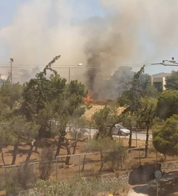 &Phi;&omega;&tau;&iota;ά &tau;ώ&rho;&alpha; &sigma;&tau;&eta; &Beta;&omicron;ύ&lambda;&alpha; &sigma;&epsilon; &omicron;&iota;&kappa;&iota;&sigma;&tau;&iota;&kappa;ό &iota;&sigma;&tau;ό