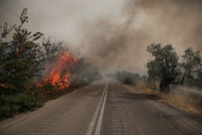&Epsilon;ύ&beta;&omicron;&iota;&alpha;: &laquo;&Epsilon;&kappa;&kappa;&epsilon;&nu;ώ&sigma;&tau;&epsilon; &tau;ώ&rho;&alpha; &tau;&iota;&sigmaf; &Mu;&eta;&lambda;&iota;έ&sigmaf; &pi;&rho;&omicron;&sigmaf; &Iota;&sigma;&tau;&iota;&alpha;ί&alpha;&raquo;