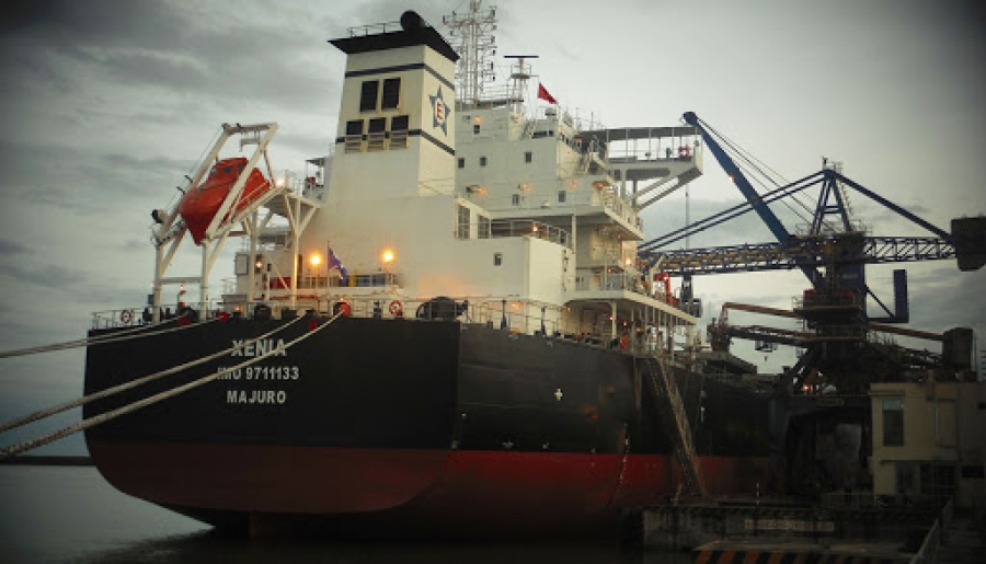 EuroDry Ltd. Looking To Weather The Dry Bulk &ldquo;Storm&rdquo;, as Panamax Rates Retreat 50% Compared to the Fourth Quarter of 2019