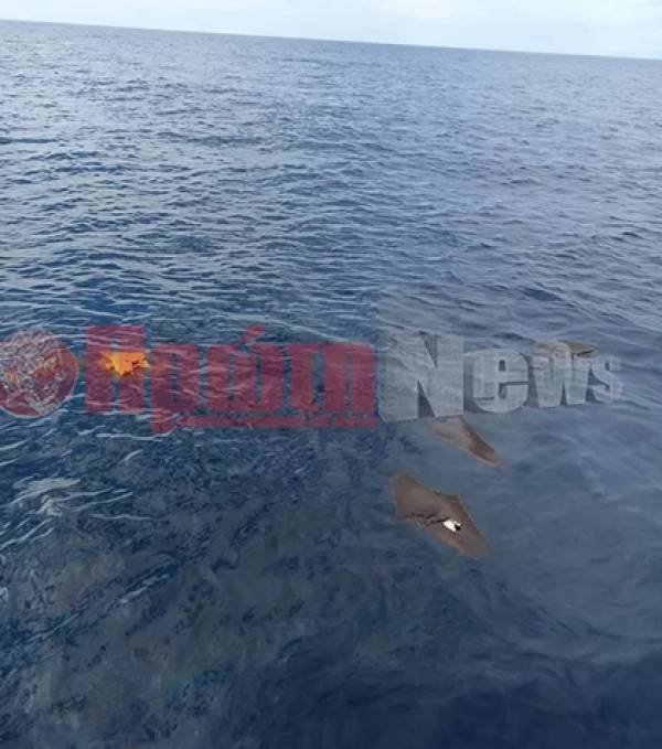 &Alpha;&nu;&delta;&rho;&alpha;&beta;ί&delta;&alpha;: &Nu;&epsilon;&kappa;&rho;ό&sigmaf; &epsilon;&nu;&tau;&omicron;&pi;ί&sigma;&tau;&eta;&kappa;&epsilon; &omicron; &sigma;&upsilon;&gamma;&kappa;&upsilon;&beta;&rho;&nu;ή&tau;&eta;&sigmaf; &tau;&omicron;&upsilon; &mu;&omicron;&iota;&rho;&alpha;ί&omicron;&upsilon; Phantom - &Alpha;&nu;&alpha;&zeta;&eta;&tau;&epsilon;ί&tau;&alpha;&iota; &omicron; &kappa;&upsilon;&beta;&epsilon;&rho;&nu;ή&tau;&eta;&sigmaf;