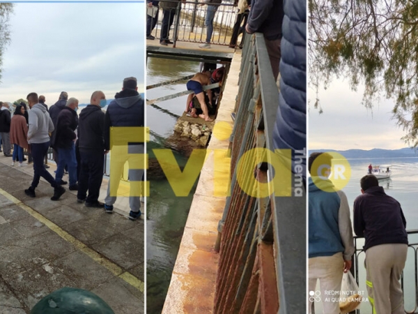 &Alpha;&mu;ά&rho;&upsilon;&nu;&theta;&omicron;&sigmaf; &Epsilon;&upsilon;&beta;&omicron;ί&alpha;&sigmaf;: &Nu;&epsilon;&alpha;&rho;ό&sigmaf; έ&pi;&epsilon;&sigma;&epsilon; &nu;&alpha; &pi;&iota;ά&sigma;&epsilon;&iota; &tau;&omicron;&nu; &sigma;&tau;&alpha;&upsilon;&rho;ό &kappa;&alpha;&iota; &chi;&tau;ύ&pi;&eta;&sigma;&epsilon; ά&sigma;&chi;&eta;&mu;&alpha; &tau;&omicron;&nu; &alpha;&upsilon;&chi;έ&nu;&alpha; &tau;&omicron;&upsilon;