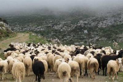 &Pi;&alpha;&rho;ά&tau;&alpha;&sigma;&eta; &pi;&rho;&omicron;&theta;&epsilon;&sigma;&mu;ί&alpha;&sigmaf; &mu;έ&chi;&rho;&iota; &tau;&iota;&sigmaf; 30 &Sigma;&epsilon;&pi;&tau;&epsilon;&mu;&beta;&rho;ί&omicron;&upsilon; 2022 &gamma;&iota;&alpha; &tau;&eta;&nu; &epsilon;&iota;&delta;&iota;&kappa;ή &alpha;&sigma;&phi;&alpha;&lambda;&iota;&sigma;&tau;&iota;&kappa;ή &epsilon;&iota;&sigma;&phi;&omicron;&rho;ά &tau;&omicron;&upsilon; &Epsilon;&Lambda;&Gamma;&Alpha;