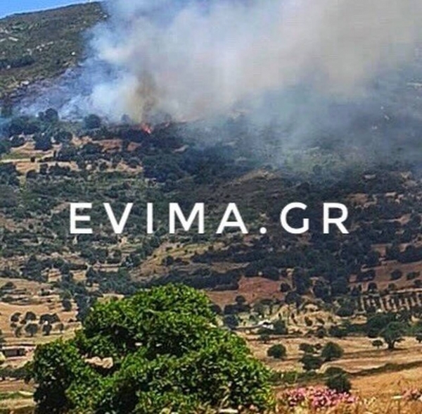 &Mu;&epsilon;&gamma;ά&lambda;&epsilon;&sigmaf; &pi;&upsilon;&rho;&kappa;&alpha;&gamma;&iota;έ&sigmaf; &sigma;&epsilon; &Kappa;ά&rho;&upsilon;&sigma;&tau;&omicron; &kappa;&alpha;&iota; &Kappa;&nu;&omega;&sigma;ό