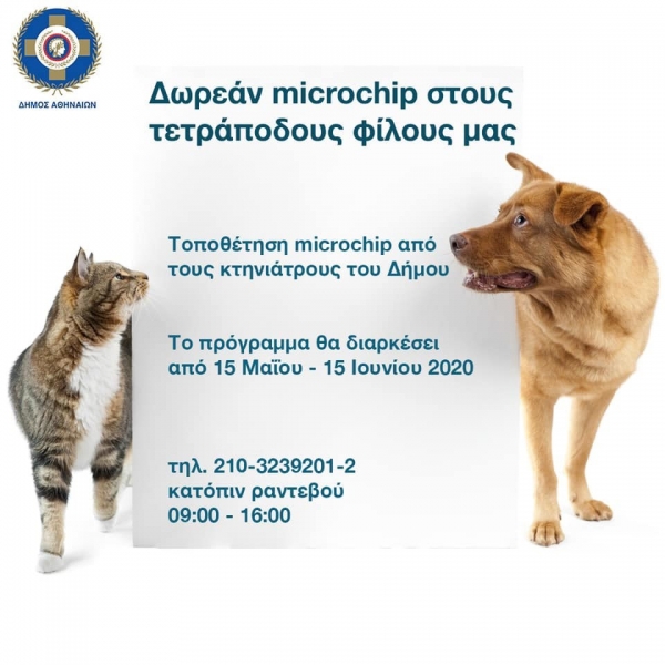 &Delta;&omega;&rho;&epsilon;ά&nu; microchip &sigma;&epsilon; &sigma;&kappa;ύ&lambda;&omicron;&upsilon;&sigmaf; &kappa;&alpha;&iota; &gamma;ά&tau;&epsilon;&sigmaf; &alpha;&pi;ό &tau;&omicron;&nu; &Delta;ή&mu;&omicron; &Alpha;&theta;&eta;&nu;&alpha;ί&omega;&nu;