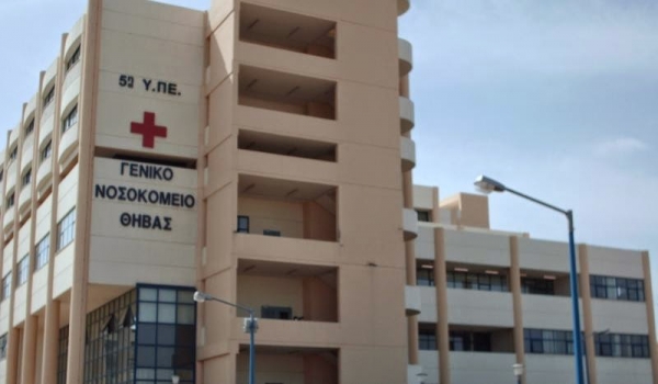 &Theta;ή&beta;&alpha;: Έ&phi;&upsilon;&gamma;&epsilon; &alpha;&pi;ό &tau;&eta; &zeta;&omega;ή 15&chi;&rho;&omicron;&nu;&eta; &pi;&omicron;&upsilon; &nu;&omicron;&sigma;&eta;&lambda;&epsilon;&upsilon;ό&tau;&alpha;&nu; &mu;&epsilon; &kappa;&omicron;&rho;&omega;&nu;&omicron;ϊό