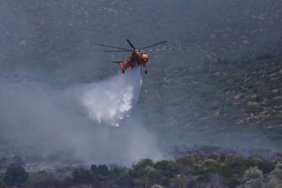 &Mu;&epsilon;&gamma;ά&lambda;&epsilon;&sigmaf; &phi;&omega;&tau;&iota;έ&sigmaf; &sigma;&epsilon; &Nu;έ&alpha; &Mu;ά&kappa;&rho;&eta; &kappa;&alpha;&iota; &Kappa;&alpha;&lambda;ύ&beta;&iota;&alpha; &Alpha;&tau;&tau;&iota;&kappa;ή&sigmaf;
