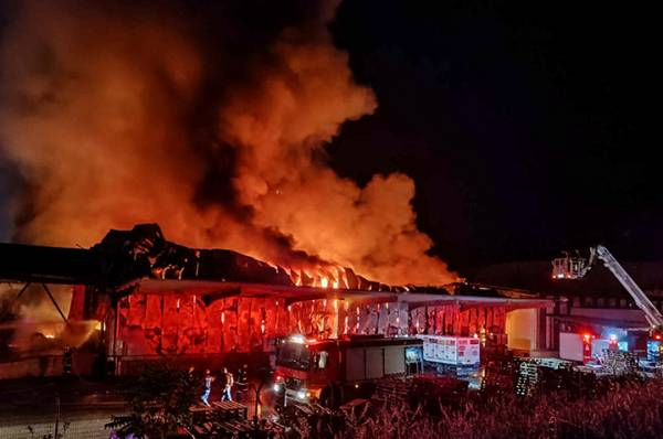 &Lambda;&alpha;&mu;ί&alpha;: &Alpha;&pi;ό &pi;&rho;ό&theta;&epsilon;&sigma;&eta; &eta; &phi;&omega;&tau;&iota;ά &sigma;&tau;&omicron; &epsilon;&rho;&gamma;&omicron;&sigma;&tau;ά&sigma;&iota;&omicron; &tau;&rho;&omicron;&phi;ί&mu;&omega;&nu; &sigma;ύ&mu;&phi;&omega;&nu;&alpha; &mu;&epsilon; &tau;&eta;&nu; &Pi;&upsilon;&rho;&omicron;&sigma;&beta;&epsilon;&sigma;&tau;&iota;&kappa;ή