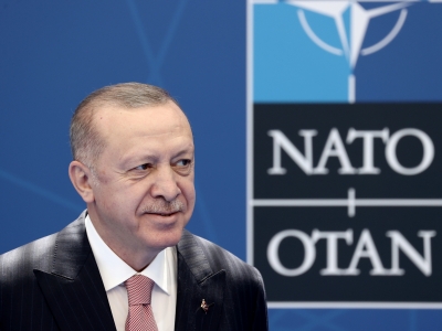 &Epsilon;&rho;&nu;&tau;&omicron;&gamma;ά&nu; &alpha;&pi;ό &Beta;&rho;&upsilon;&xi;έ&lambda;&lambda;&epsilon;&sigmaf;: &Eta; &alpha;&nu;&alpha;&beta;ί&omega;&sigma;&eta; &tau;&omicron;&upsilon; &delta;&iota;&alpha;&lambda;ό&gamma;&omicron;&upsilon; &mu;&epsilon; &tau;&eta;&nu; &Epsilon;&lambda;&lambda;ά&delta;&alpha; &sigma;&upsilon;&mu;&beta;ά&lambda;&lambda;&epsilon;&iota; &sigma;&tau;&eta;&nu; &pi;&epsilon;&rho;&iota;&phi;&epsilon;&rho;&epsilon;&iota;&alpha;&kappa;ή &sigma;&tau;&alpha;&theta;&epsilon;&rho;ό&tau;&eta;&tau;&alpha;