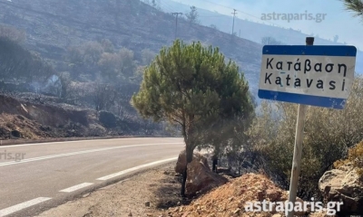 &Chi;ί&omicron;&sigmaf;: &Theta;&eta;&rho;&iota;ώ&delta;&epsilon;&sigmaf; &rho;&omega;&sigma;&iota;&kappa;ό &pi;&upsilon;&rho;&omicron;&sigma;&beta;&epsilon;&sigma;&tau;&iota;&kappa;ό &sigma;&tau;&eta; &mu;ά&chi;&eta; &mu;&epsilon; &tau;&iota;&sigmaf; &phi;&lambda;ό&gamma;&epsilon;&sigmaf;