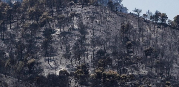 &Pi;&epsilon;&rho;ί&pi;&omicron;&upsilon; 71.300 &sigma;&tau;&rho;έ&mu;&mu;&alpha;&tau;&alpha; έ&kappa;&alpha;&psi;&epsilon; &eta; &mu;&epsilon;&gamma;ά&lambda;&eta; &pi;&upsilon;&rho;&kappa;&alpha;&gamma;&iota;ά &sigma;&tau;&alpha; &Gamma;&epsilon;&rho;ά&nu;&epsilon;&iota;&alpha;