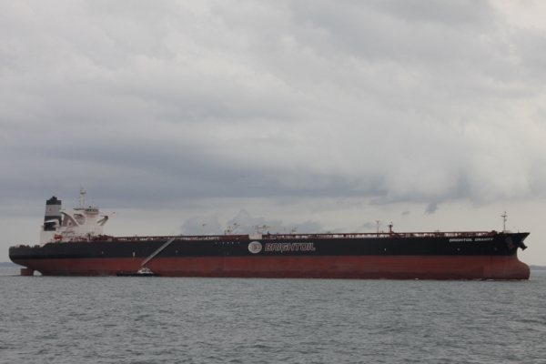 Stealthgas Inc. Exhibits Resilience Against Adverse Market Conditions Amid COVID-19 Negative Impact