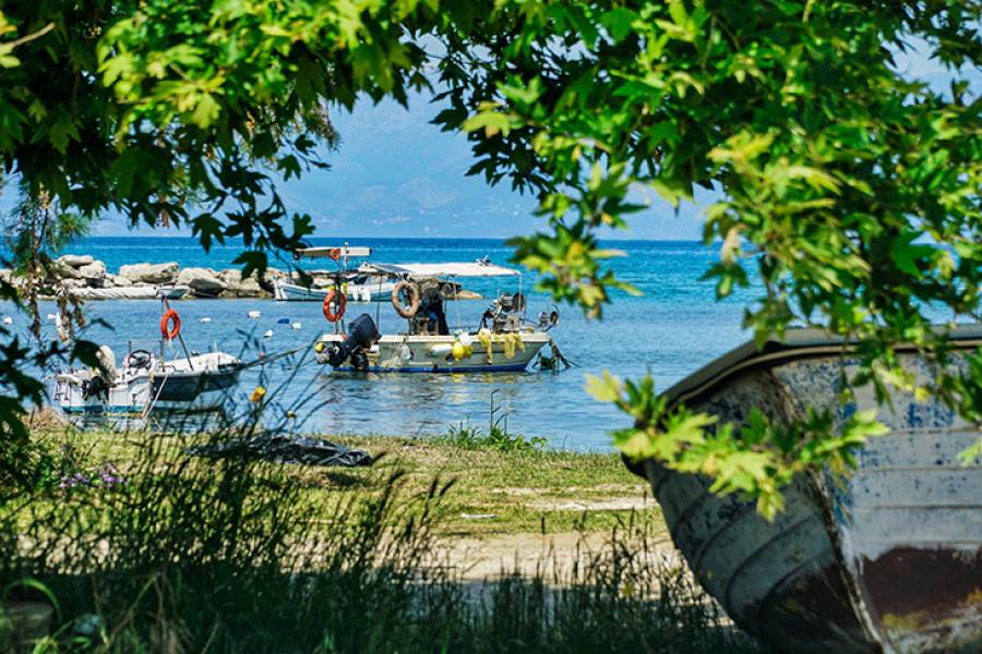 &Delta;&Upsilon;&Pi;&Alpha;: &Alpha;&upsilon;&xi;ά&nu;&epsilon;&tau;&alpha;&iota; &eta; &chi;&rho;&omicron;&nu;&iota;&kappa;ή &delta;&iota;ά&rho;&kappa;&epsilon;&iota;&alpha; &tau;&omicron;&upsilon; &pi;&rho;&omicron;&gamma;&rho;ά&mu;&mu;&alpha;&tau;&omicron;&sigmaf; &gamma;&iota;&alpha; &tau;&omicron;&nu; &Kappa;&omicron;&iota;&nu;&omega;&nu;&iota;&kappa;ό &Tau;&omicron;&upsilon;&rho;&iota;&sigma;&mu;ό