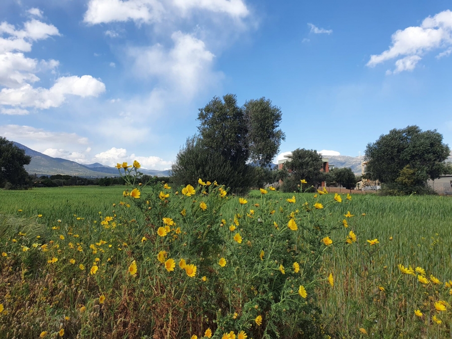 &Upsilon;&psi;&eta;&lambda;έ&sigmaf; &theta;&epsilon;&rho;&mu;&omicron;&kappa;&rho;&alpha;&sigma;ί&epsilon;&sigmaf; &tau;&omicron; &Mu;. &Sigma;ά&beta;&beta;&alpha;&tau;&omicron; - &Tau;&omicron; &theta;&epsilon;&rho;&mu;ό&mu;&epsilon;&tau;&rho;&omicron; &theta;&alpha; &alpha;&gamma;&gamma;ί&xi;&epsilon;&iota; &tau;&omicron;&upsilon;&sigmaf; 34 &beta;&alpha;&theta;&mu;&omicron;ύ&sigmaf;