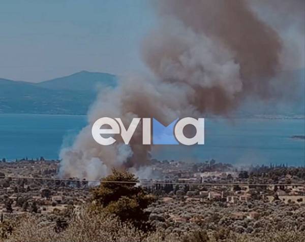 &Mu;&epsilon;&gamma;ά&lambda;&eta; &phi;&omega;&tau;&iota;ά &sigma;&tau;&eta; &Mu;&alpha;&gamma;&omicron;ύ&lambda;&alpha; &Epsilon;&rho;έ&tau;&rho;&iota;&alpha;&sigmaf;: &Kappa;&alpha;ί&epsilon;&iota; &kappa;&omicron;&nu;&tau;ά &sigma;&epsilon; &sigma;&pi;ί&tau;&iota;&alpha; - Ή&chi;&eta;&sigma;&epsilon; &tau;&omicron; 112