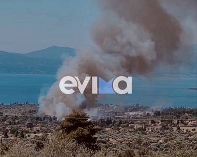 &Mu;&epsilon;&gamma;ά&lambda;&eta; &phi;&omega;&tau;&iota;ά &sigma;&tau;&eta; &Mu;&alpha;&gamma;&omicron;ύ&lambda;&alpha; &Epsilon;&rho;έ&tau;&rho;&iota;&alpha;&sigmaf;: &Kappa;&alpha;ί&epsilon;&iota; &kappa;&omicron;&nu;&tau;ά &sigma;&epsilon; &sigma;&pi;ί&tau;&iota;&alpha; - Ή&chi;&eta;&sigma;&epsilon; &tau;&omicron; 112
