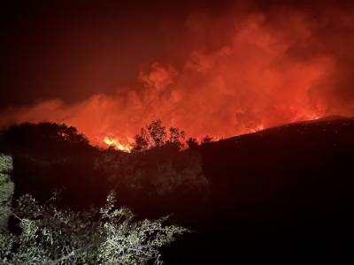 &Pi;ά&nu;&omega; &alpha;&pi;ό 94.000 &sigma;&tau;&rho;έ&mu;&mu;&alpha;&tau;&alpha; &eta; &kappa;&alpha;&mu;έ&nu;&eta; &gamma;&eta; &sigma;&tau;&alpha; &Beta;ί&lambda;&iota;&alpha; &kappa;&alpha;&iota; 5.317 &sigma;&tau;&eta;&nu; &Kappa;&epsilon;&rho;&alpha;&tau;έ&alpha;