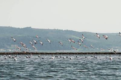 EBRD and Italy promote eco-tourism in Albania