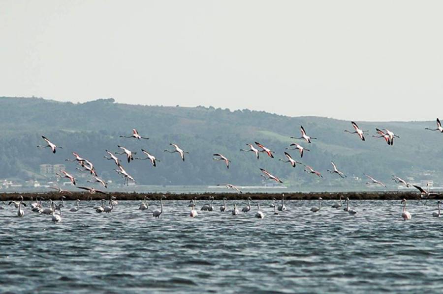 EBRD and Italy promote eco-tourism in Albania