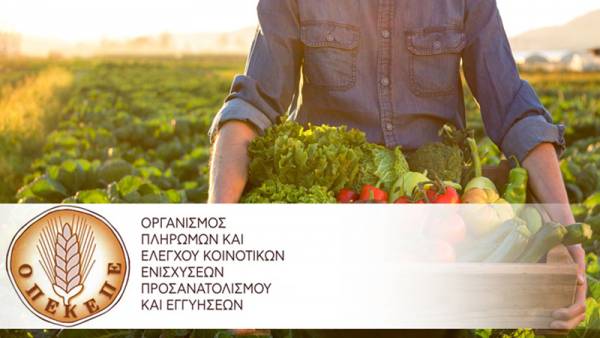 &Omicron;&Pi;&Epsilon;&Kappa;&Epsilon;&Pi;&Epsilon;: &Pi;ά&nu;&omega; &alpha;&pi;ό 49.000 &pi;&lambda;&alpha;&sigma;&tau;ά &pi;&iota;&sigma;&tau;&omicron;&pi;&omicron;&iota;&eta;&tau;&iota;&kappa;ά &gamma;&iota;&alpha; &beta;&iota;&omicron;&lambda;&omicron;&gamma;&iota;&kappa;έ&sigmaf; &kappa;&alpha;&lambda;&lambda;&iota;έ&rho;&gamma;&epsilon;&iota;&epsilon;&sigmaf;