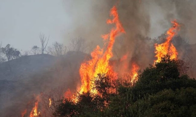 &Omicron;&mu;&omicron;&lambda;&omicron;&gamma;ί&alpha; 14&chi;&rho;&omicron;&nu;&omicron;&upsilon; &epsilon;&mu;&pi;&rho;&eta;&sigma;&tau;ή: &laquo;Έ&beta;&alpha;&zeta;&alpha; &phi;&omega;&tau;&iota;έ&sigmaf; &gamma;&iota;&alpha;&tau;ί &mu;&omicron;&upsilon; ά&rho;&epsilon;&sigma;&epsilon; &nu;&alpha; &beta;&lambda;έ&pi;&omega; &tau;&iota;&sigmaf; &phi;&lambda;ό&gamma;&epsilon;&sigmaf;&raquo;
