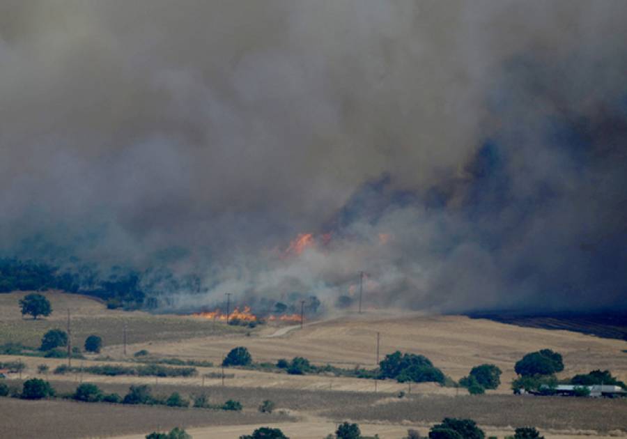 &Phi;&omega;&tau;&iota;ά &sigma;&tau;&omicron;&nu; Έ&beta;&rho;&omicron;: &Pi;&lambda;&eta;&rho;&omicron;&phi;&omicron;&rho;ί&epsilon;&sigmaf; &gamma;&iota;&alpha; 250 &epsilon;&gamma;&kappa;&lambda;&omega;&beta;&iota;&sigma;&mu;έ&nu;&omicron;&upsilon;&sigmaf; &mu;&epsilon;&tau;&alpha;&nu;ά&sigma;&tau;&epsilon;&sigmaf; &sigma;&epsilon; &nu;&eta;&sigma;ί&delta;&epsilon;&sigmaf;