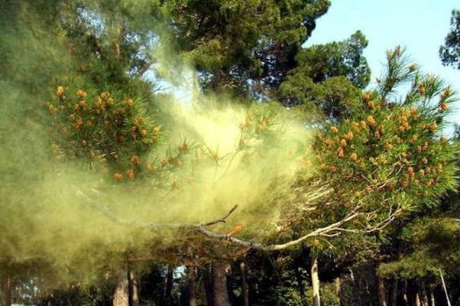 &Eta; &alpha;&upsilon;&xi;&eta;&mu;έ&nu;&eta; &gamma;ύ&rho;&eta; &sigma;&tau;&omicron;&nu; &alpha;έ&rho;&alpha; &lambda;ό&gamma;&omega; ά&nu;&omicron;&iota;&xi;&eta;&sigmaf; &alpha;&upsilon;&xi;ά&nu;&epsilon;&iota; &tau;&omicron;&nu; &kappa;ί&nu;&delta;&upsilon;&nu;&omicron; &lambda;&omicron;ί&mu;&omega;&xi;&eta;&sigmaf; Covid-19