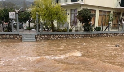 &Mu;&epsilon;&gamma;ά&lambda;&epsilon;&sigmaf; &zeta;&eta;&mu;&iota;έ&sigmaf; &sigma;&epsilon; &Epsilon;ύ&beta;&omicron;&iota;&alpha;, &Beta;&omicron;&iota;&omega;&tau;ί&alpha;, &Phi;&theta;&iota;ώ&tau;&iota;&delta;&alpha; &alpha;&pi;ό &tau;&iota;&sigmaf; &pi;&lambda;&eta;&mu;&mu;ύ&rho;&epsilon;&sigmaf;