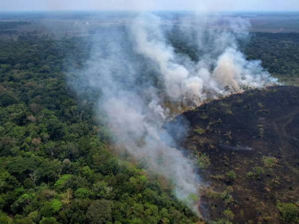 &Beta;&rho;&alpha;&zeta;&iota;&lambda;ί&alpha;: &Sigma;&tau;&iota;&sigmaf; &phi;&lambda;ό&gamma;&epsilon;&sigmaf; &tau;&omicron; &mu;&epsilon;&gamma;&alpha;&lambda;ύ&tau;&epsilon;&rho;&omicron; &tau;&rho;&omicron;&pi;&iota;&kappa;ό &delta;ά&sigma;&omicron;&sigmaf; &tau;&omicron;&upsilon; &pi;&lambda;&alpha;&nu;ή&tau;&eta;
