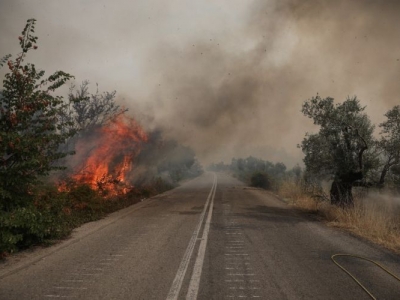 &Pi;&alpha;&rho;ά&tau;&alpha;&sigma;&eta; &upsilon;&pi;&omicron;&beta;&omicron;&lambda;ή&sigmaf; &kappa;&alpha;&iota; &pi;&lambda;&eta;&rho;&omega;&mu;ή&sigmaf; &Phi;&Pi;&Alpha; &gamma;&iota;&alpha; &tau;&iota;&sigmaf; &epsilon;&pi;&iota;&chi;&epsilon;&iota;&rho;ή&sigma;&epsilon;&iota;&sigmaf; &tau;&eta;&sigmaf; &Epsilon;ύ&beta;&omicron;&iota;&alpha;&sigmaf;