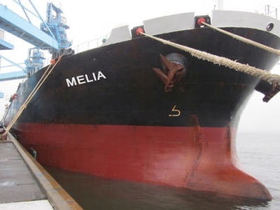 Diana Shipping Inc. Announces Time Charter Contract for m/v Melia with Ausca