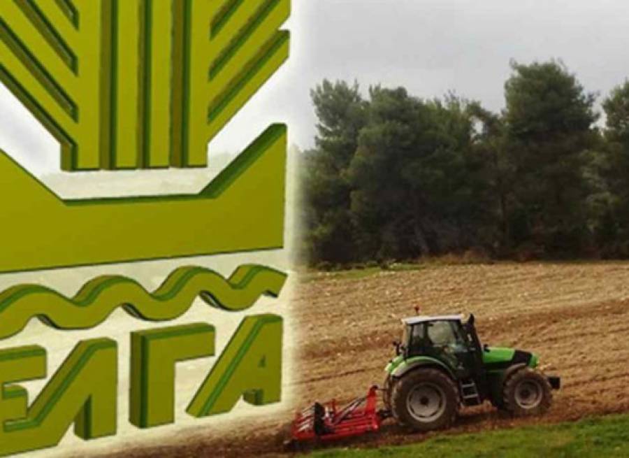 &Eta; 31&eta; &Mu;&alpha;&rho;&tau;ί&omicron;&upsilon; &eta; &tau;&epsilon;&lambda;&epsilon;&upsilon;&tau;&alpha;ί&alpha; &pi;&rho;&omicron;&theta;&epsilon;&sigma;&mu;ί&alpha; &pi;&lambda;&eta;&rho;&omega;&mu;ή&sigmaf; &tau;&eta;&sigmaf; &epsilon;&iota;&sigma;&phi;&omicron;&rho;ά&sigmaf; &Epsilon;&Lambda;&Gamma;&Alpha; 2021