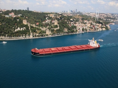 Diana Shipping Inc. Announces Time Charter Contract for m/v Alcmene with Cargill