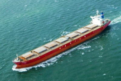 Navios Maritime Holdings Inc. Takes Hit from Weak Dry Bulk Market