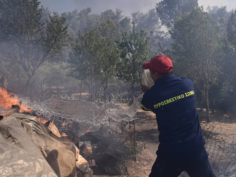 &Mu;έ&gamma;&alpha;&lambda;&omicron; &pi;ύ&rho;&iota;&nu;&omicron; &mu;έ&tau;&omega;&pi;&omicron; &sigma;&tau;&eta; &Sigma;&tau;&alpha;&mu;ά&tau;&alpha; - &Epsilon;&kappa;&kappa;&epsilon;&nu;ώ&nu;&omicron;&nu;&tau;&alpha;&iota; &Alpha;&mu;&upsilon;&gamma;&delta;&alpha;&lambda;έ&zeta;&alpha;, &Gamma;&alpha;&lambda;ή&nu;&eta;, &Rho;&omicron;&delta;ό&pi;&omicron;&lambda;&eta;