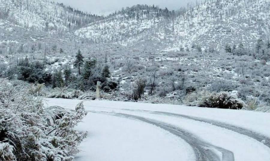 &Lambda;&epsilon;&iota;&tau;&omicron;&upsilon;&rho;&gamma;ί&alpha; &epsilon;&mu;&pi;&omicron;&rho;&iota;&kappa;ώ&nu; &kappa;&alpha;&tau;&alpha;&sigma;&tau;&eta;&mu;ά&tau;&omega;&nu; &kappa;&alpha;&iota; &upsilon;&pi;&eta;&rho;&epsilon;&sigma;&iota;ώ&nu; delivery-courier &tau;&eta;&nu; &Tau;&epsilon;&tau;ά&rho;&tau;&eta; 8/2