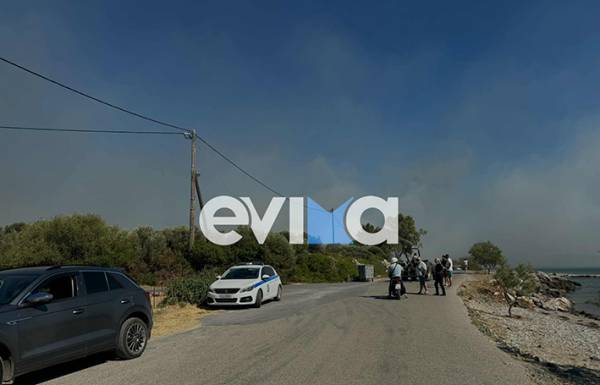 &Phi;&omega;&tau;&iota;ά &sigma;&tau;&omicron; &Alpha;&lambda;&iota;&beta;έ&rho;&iota;: 112 &gamma;&iota;&alpha; &epsilon;&kappa;&kappa;έ&nu;&omega;&sigma;&eta; &tau;&eta;&sigmaf; &pi;&epsilon;&rho;&iota;&omicron;&chi;ή&sigmaf; &tau;&omicron;&upsilon; &Pi;&omicron;&nu;&tau;&iota;&kappa;&omicron;ύ