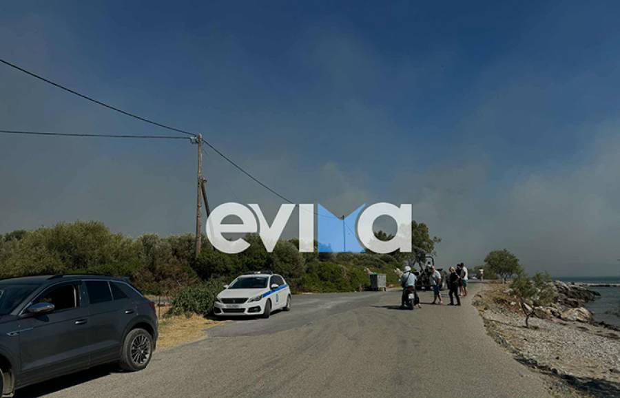 &Phi;&omega;&tau;&iota;ά &sigma;&tau;&omicron; &Alpha;&lambda;&iota;&beta;έ&rho;&iota;: 112 &gamma;&iota;&alpha; &epsilon;&kappa;&kappa;έ&nu;&omega;&sigma;&eta; &tau;&eta;&sigmaf; &pi;&epsilon;&rho;&iota;&omicron;&chi;ή&sigmaf; &tau;&omicron;&upsilon; &Pi;&omicron;&nu;&tau;&iota;&kappa;&omicron;ύ